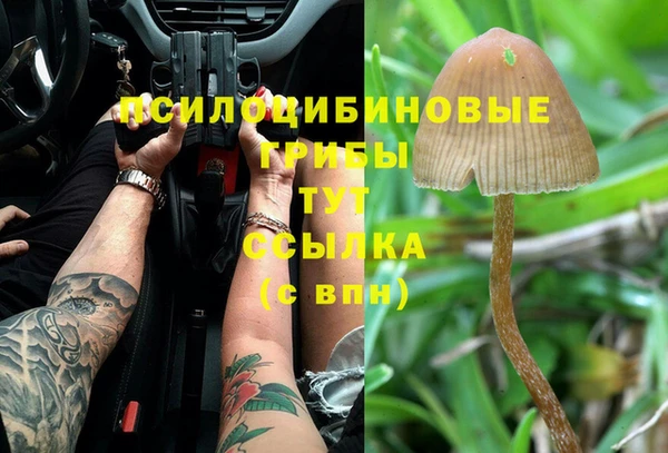 а пвп мука Армянск